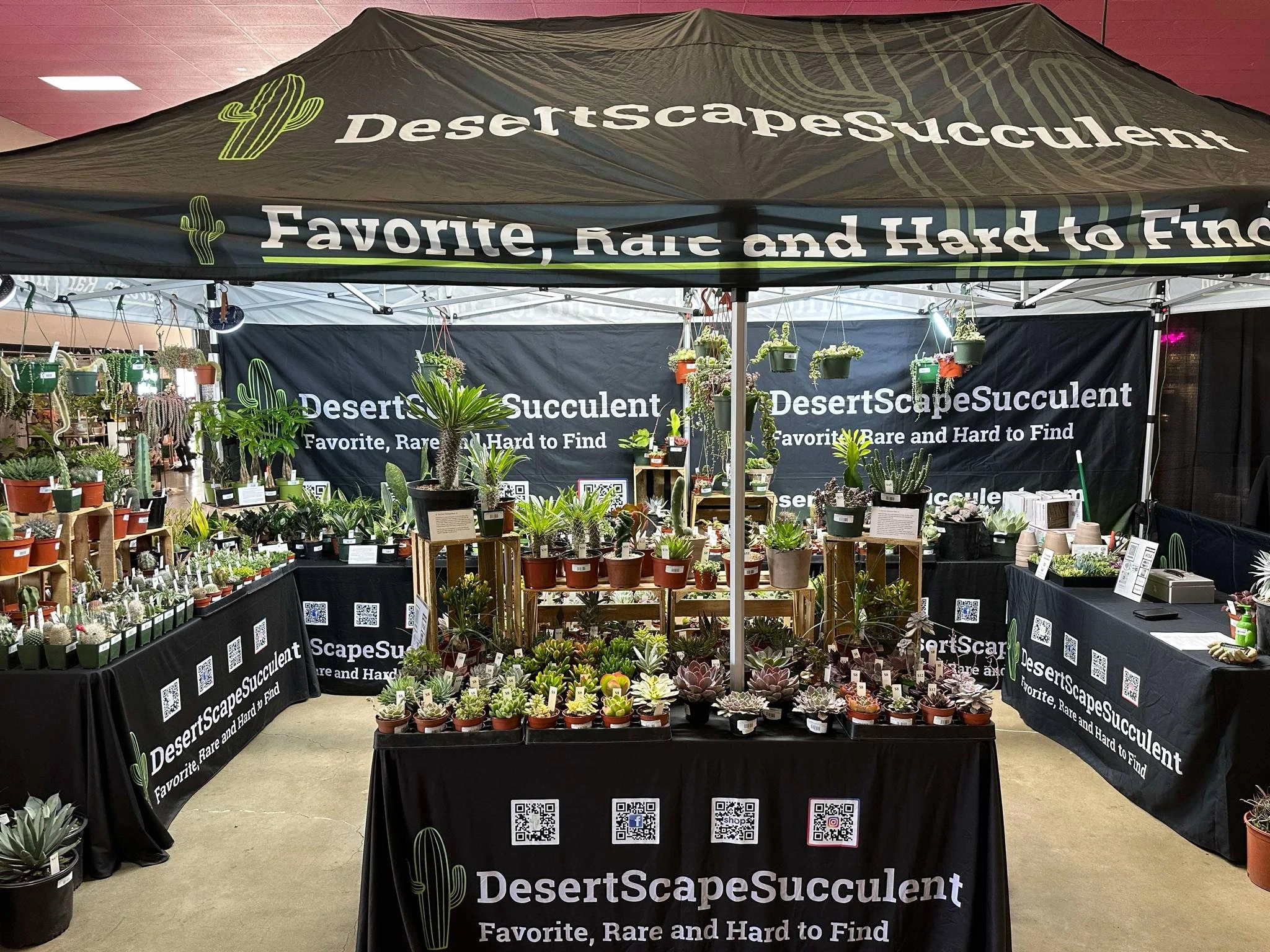 DesertScapeSucculent booth setup 6