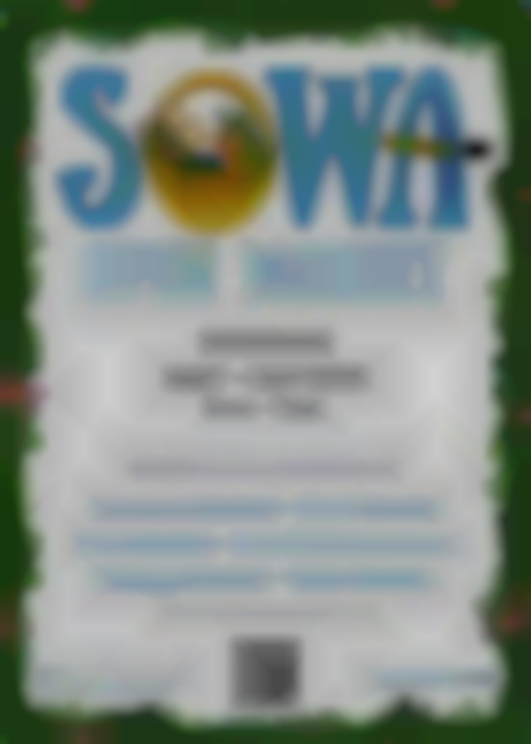 2025 SOWA OPEN MARKET | JUNE 29