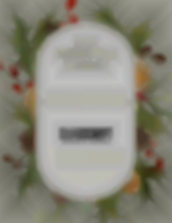 2025 Cloudcroft Christmas Market | Nov 28-29
