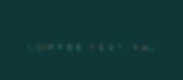 2026 Northeast Coffee Festival