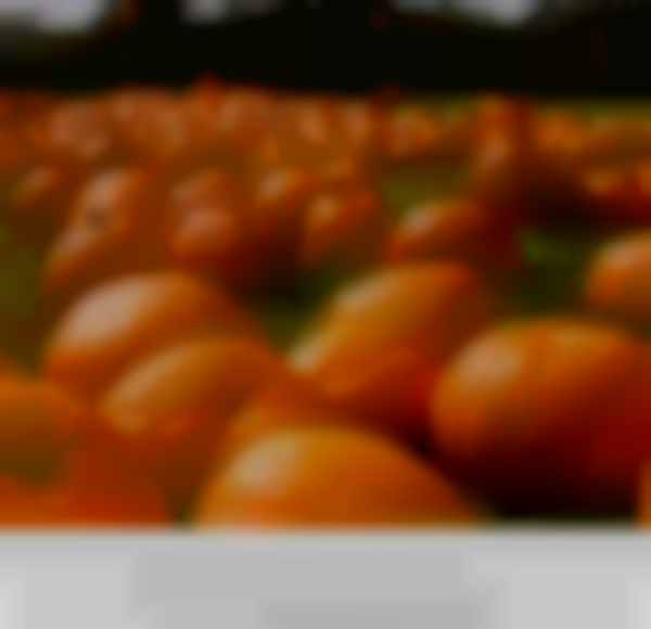 2025 MAC Marketplace Fall Show | Oct 10 - 12