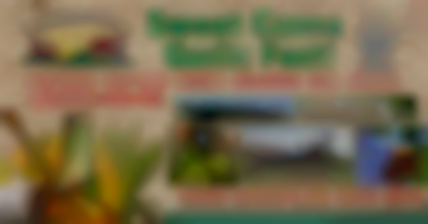 Sweet Corn & Garlic Festival 2025