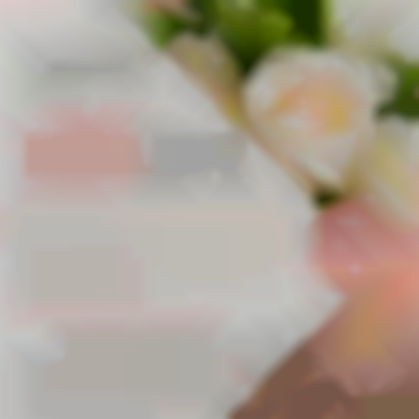 2026 Volusia Bridal Expo | Sun, Jan 18th