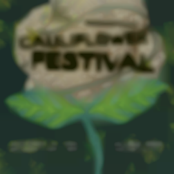 Margaretville Cauliflower Festival 2025