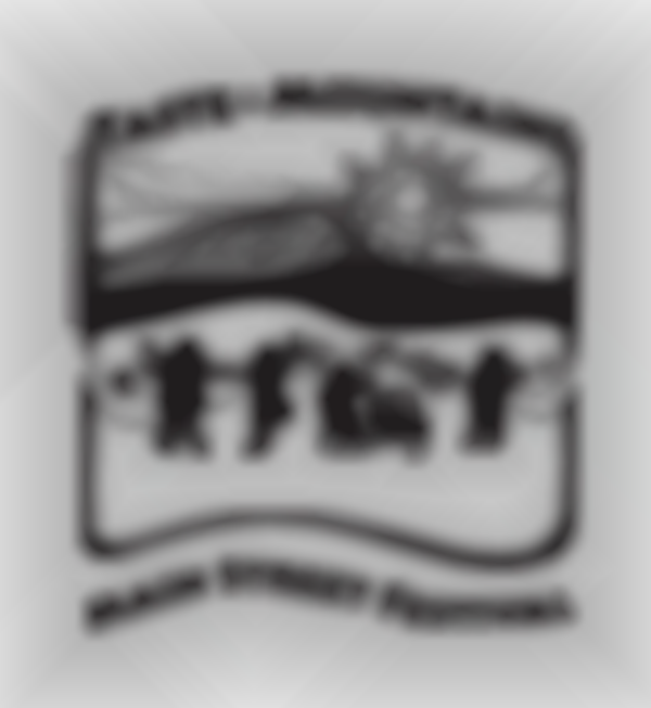 2025 31st Annual Taste of the Mountains Main Street Festival | August 30