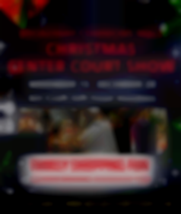 Broadway Commons Mall Christmas Center Court Show 2025