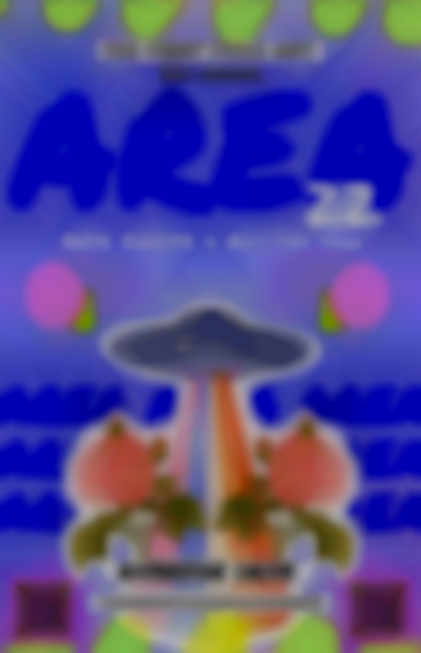 AREA 22 Arts, Crafts & Oddities Fair