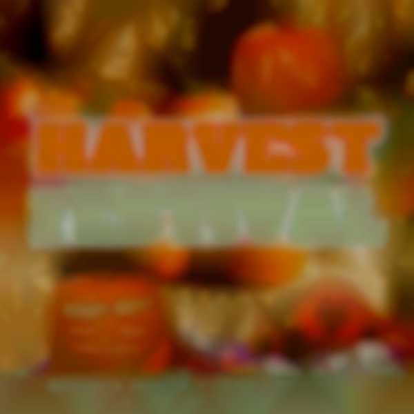 Hurleyville Harvest Festival 2025