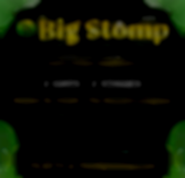 The Big Stomp 2025