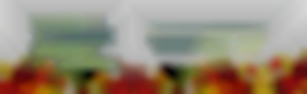 Marietta Square Farmers Market (February 22, 2025)