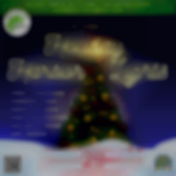 2025 Blaine’s Holiday Harbor Lights | Saturday, November 29
