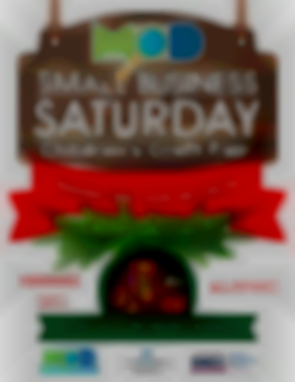 Small Business Saturday Children's Craft Fair