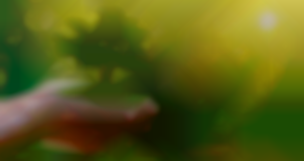 Earth Day Plant Fesival