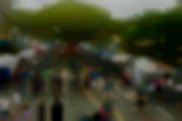 30th Annual "I Love Kailua" Town Party