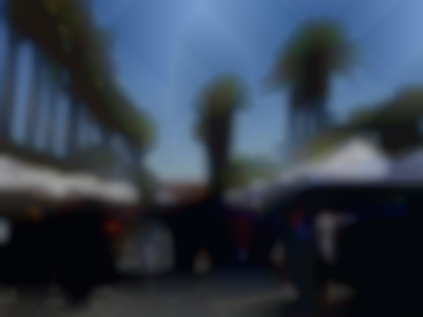 Desert Art Festival at The River - February 14 - 16, 2025
