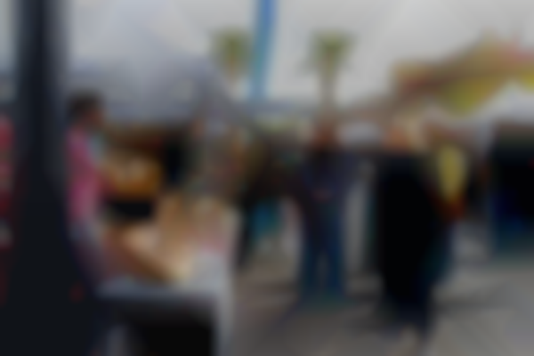 The PV Arts & Crafts Show