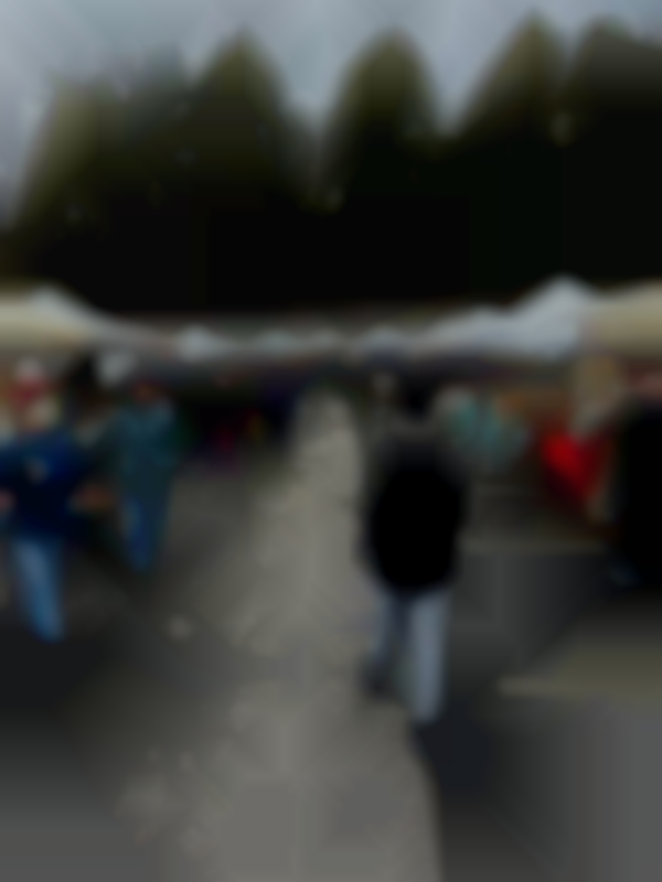 North Asheville Tailgate Market's 2025 Winter Market
