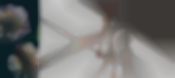 2026 LA Market Week — Jan 12th - 14th