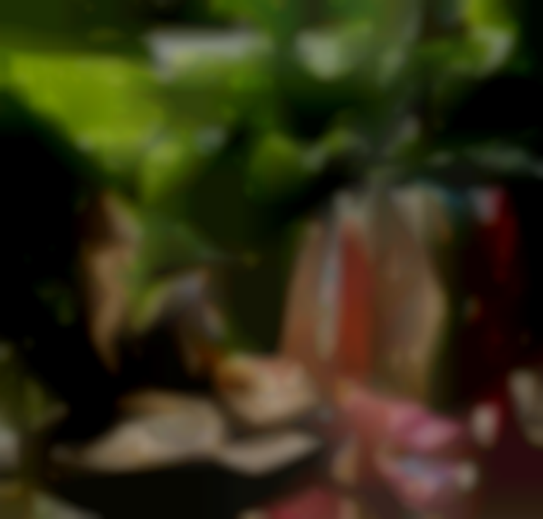 Vintage Paradise at Mayfair House Hotel & Garden