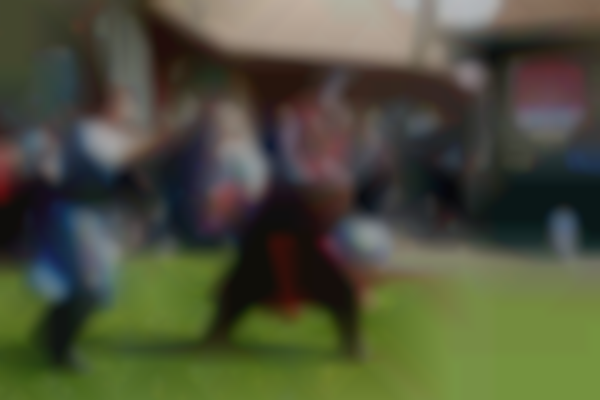 Renaissance Faire