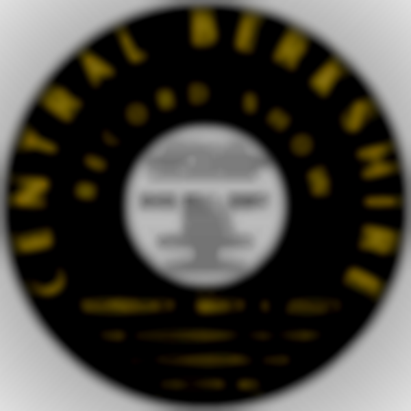 Central Berkshire Record Show