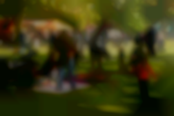Salem Food Truck & Craft Beer Festival
