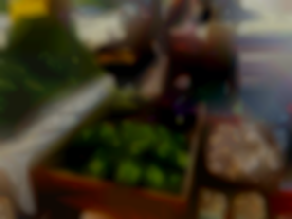 Kittery Community Market |  Sunday, June 1st| 10-2 PM