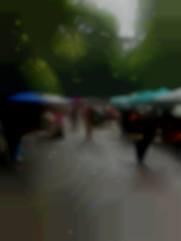 North Asheville Tailgate Market's 2025 Main Season