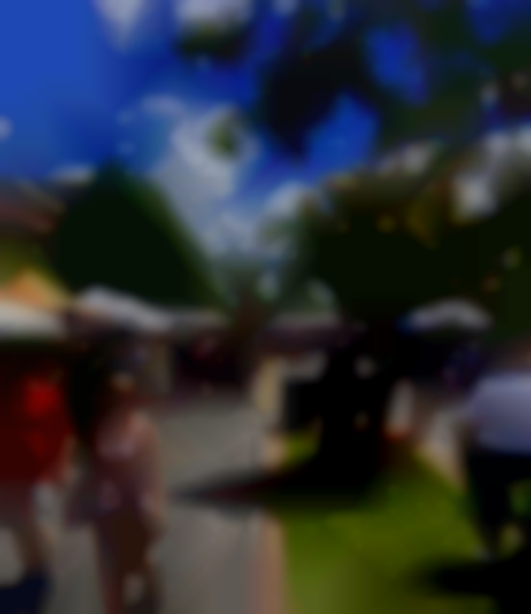 49th Annual Lockport Outdoor Arts & Crafts Festival