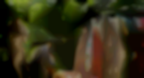 Vintage Paradise at Mayfair House Hotel & Garden