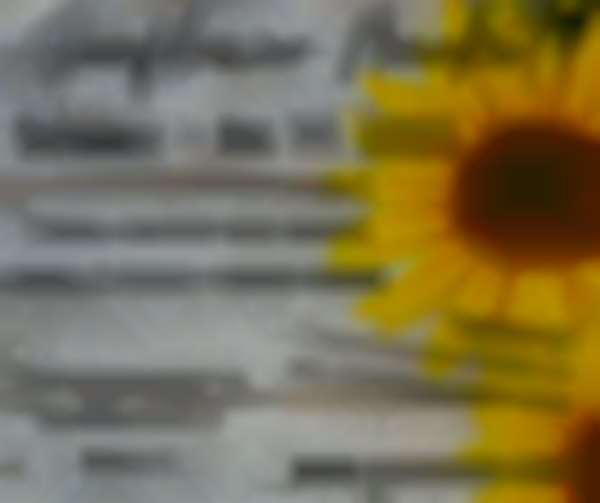 Sunflower Craft Market 2025