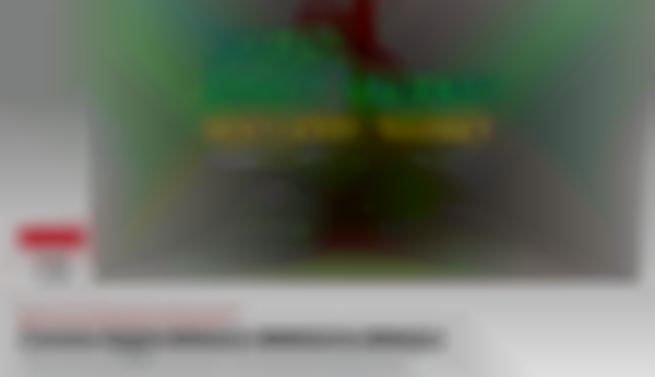 2025 Oviedo Mistletoe Market — Dec 12th