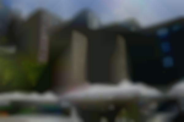 SOAR Farmers Market 2025