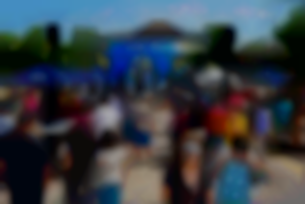 28th Annual Lemon Festival 