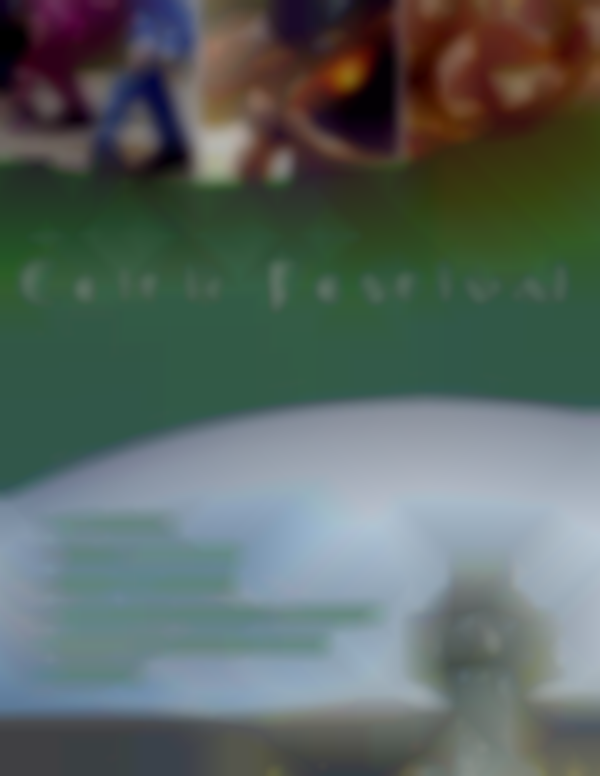 Celtic Festival 2025