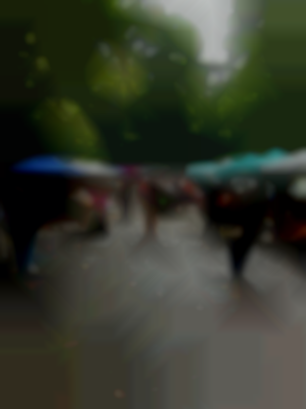 North Asheville Tailgate Market's 2025 Main Season Spring Commencement Market