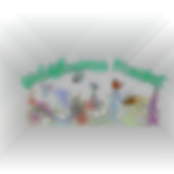 Wildflowers Vendor Market Event