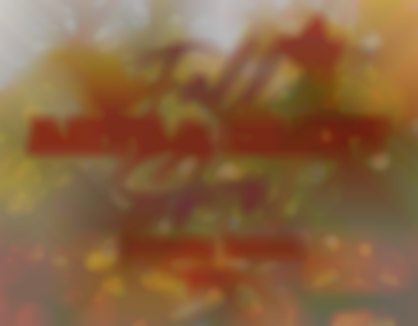 Welcome Fall Market & More