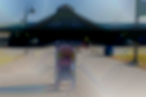 Walk, Bike, or Ride to the Farmers Market
