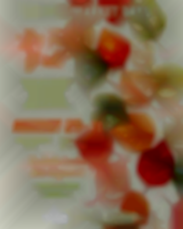 Vintage Market Days® in Columbia Presents - "It's Fall Y'all"