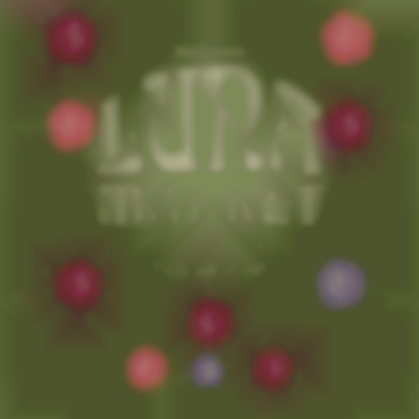 Summer Luna Market