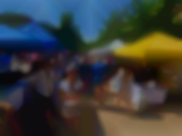 Fort Collins Artisan Street Fair