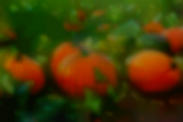 Thanksgiving Market & More