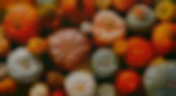 Fall Market & More