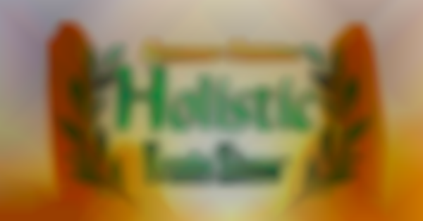 Summer Solstice Holistic Trade Show
