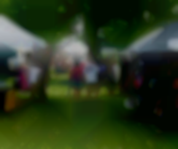 Troy Historical Society Arts & Crafts and Flea Market