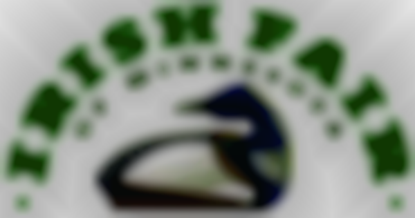 Irish Fair of Minnesota