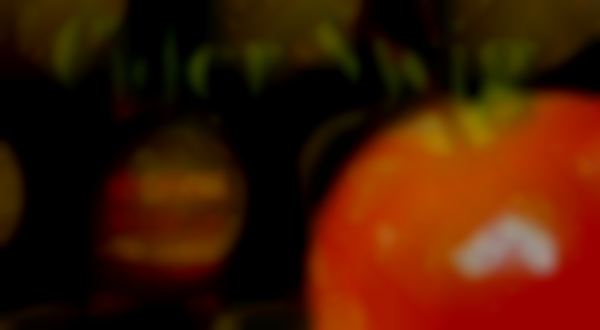 CIDER SWIG - Cider Festival