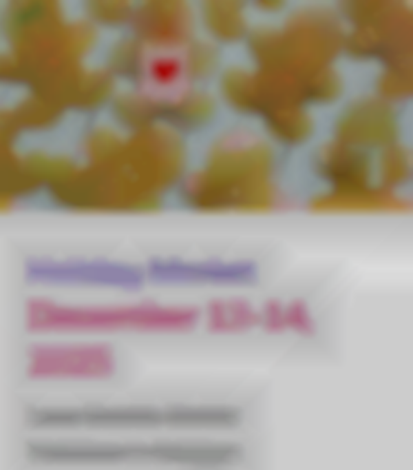 2025 Holiday Market | December 13–14