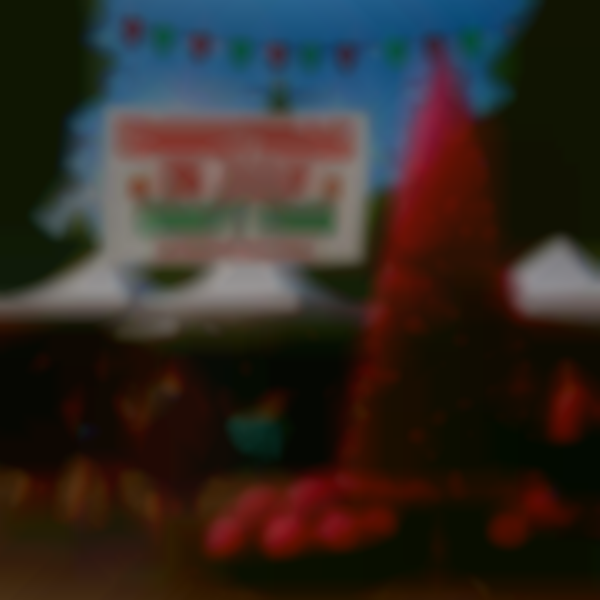 7/27 Christmas in July craft fair 